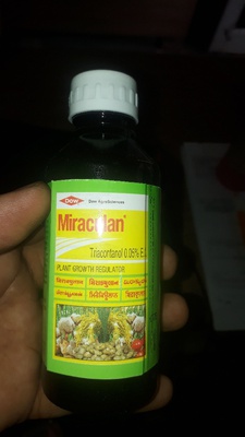 Miraculan 100ml