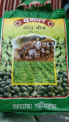 उडद
