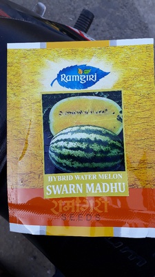 रामगिरी पीला तरबूज सवर्ण कलश 10ग्राम