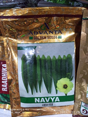 okara cucumbar muskmelon sudan makka sunflowar nenua lauki karela