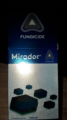 mirador