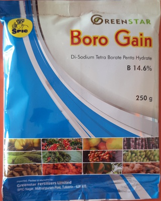 बोरो गेन बोरोन (14.6% )