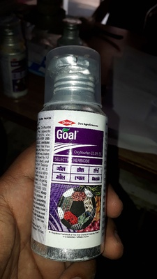 GOAL2E
