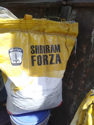 Shriram Forza