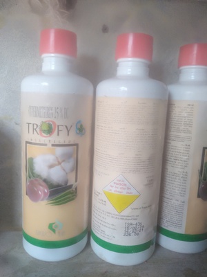 tropy