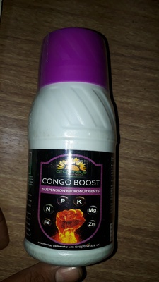 CONGOBOOST