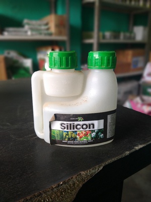 silicon